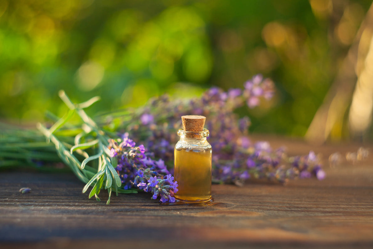 Lavender Infused Oil