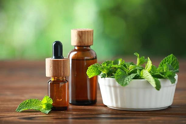 Peppermint & Eucalyptus Refreshing Body Oil
