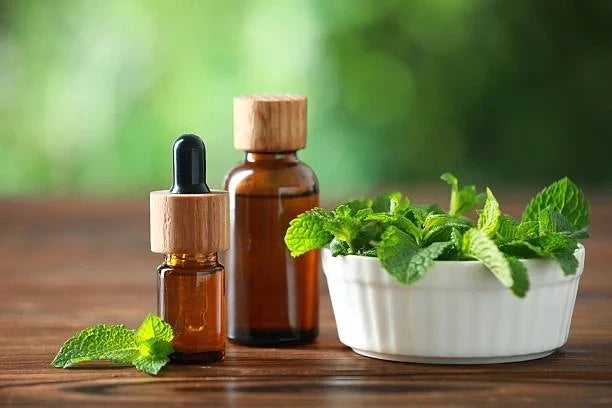 Peppermint & Eucalyptus Refreshing Body Oil