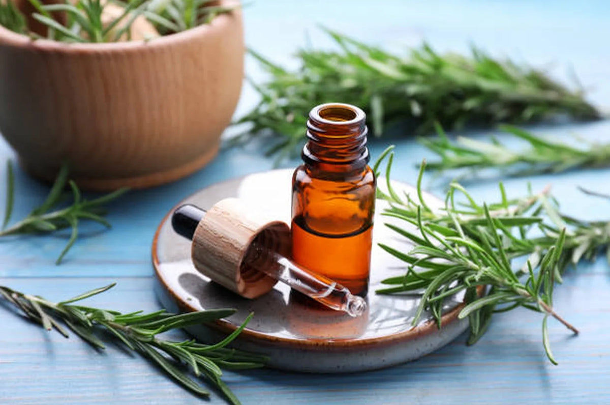 Rosemary Infused Hair & Scalp Oil