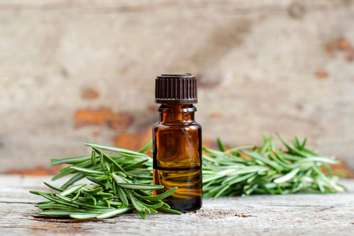 Rosemary Infused Oil