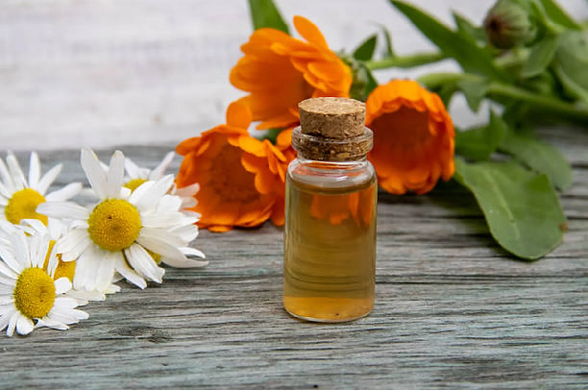 Calendula & Chamomile Soothing Face Oil