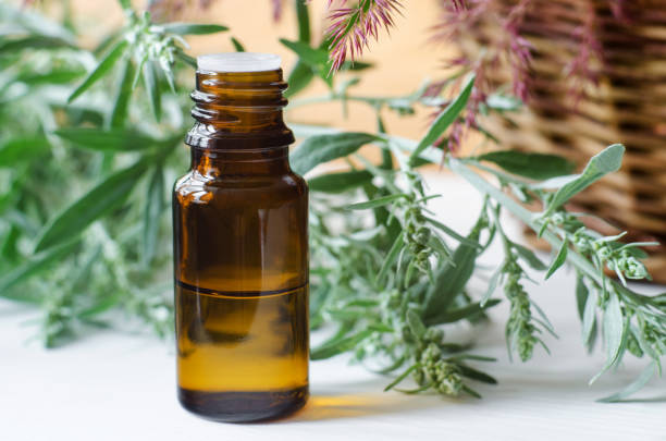 Sage Infused Oil