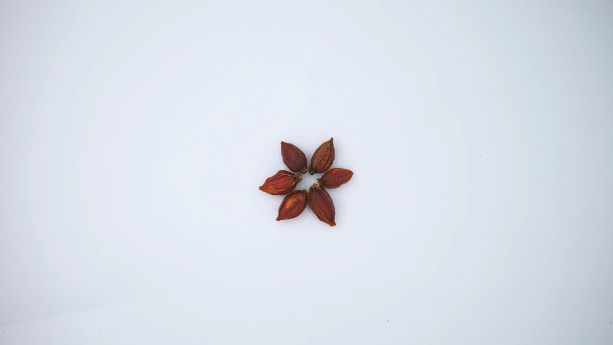 Gardenia