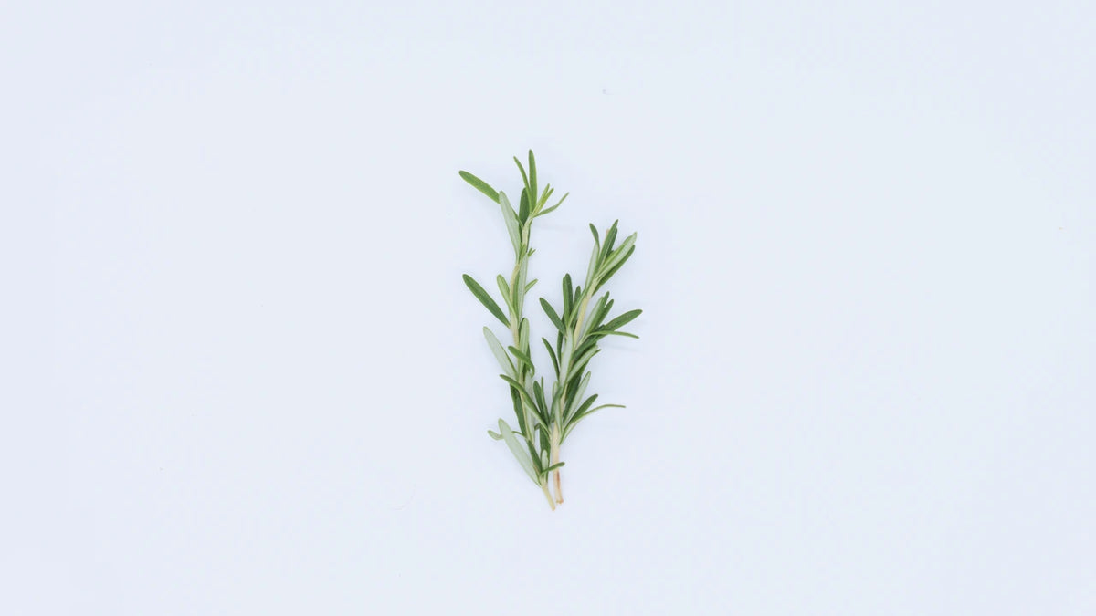 Rosemary