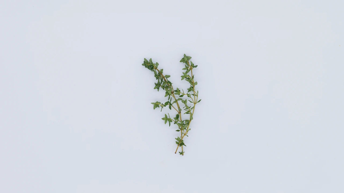 Thyme