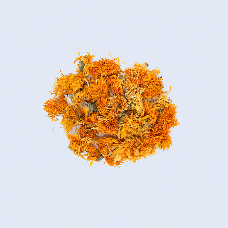 Calendula