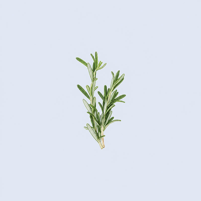 Rosemary