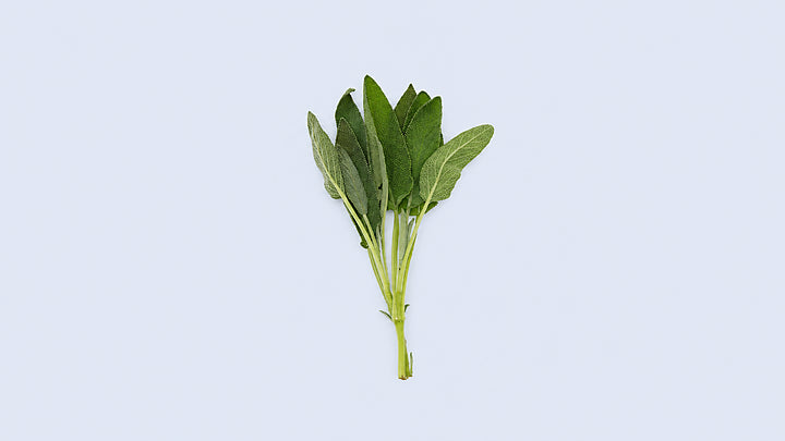 Sage